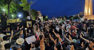 Harry Potter temalı siyasi protesto