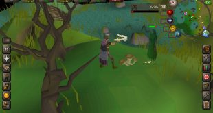 runescape steam