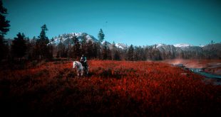 red dead redemption 2 wallpaper