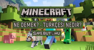 minecraft ne demek