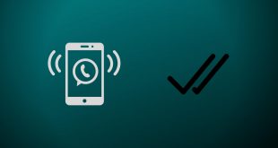 whatsapp görüldü kapatma