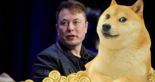 dogecoin elon musk