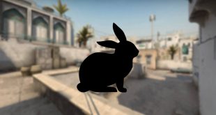 csgo-bunny-kodu