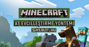 minecraft at evcilleştirme