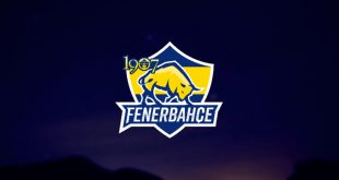 1907 Fenerbahçe Espor