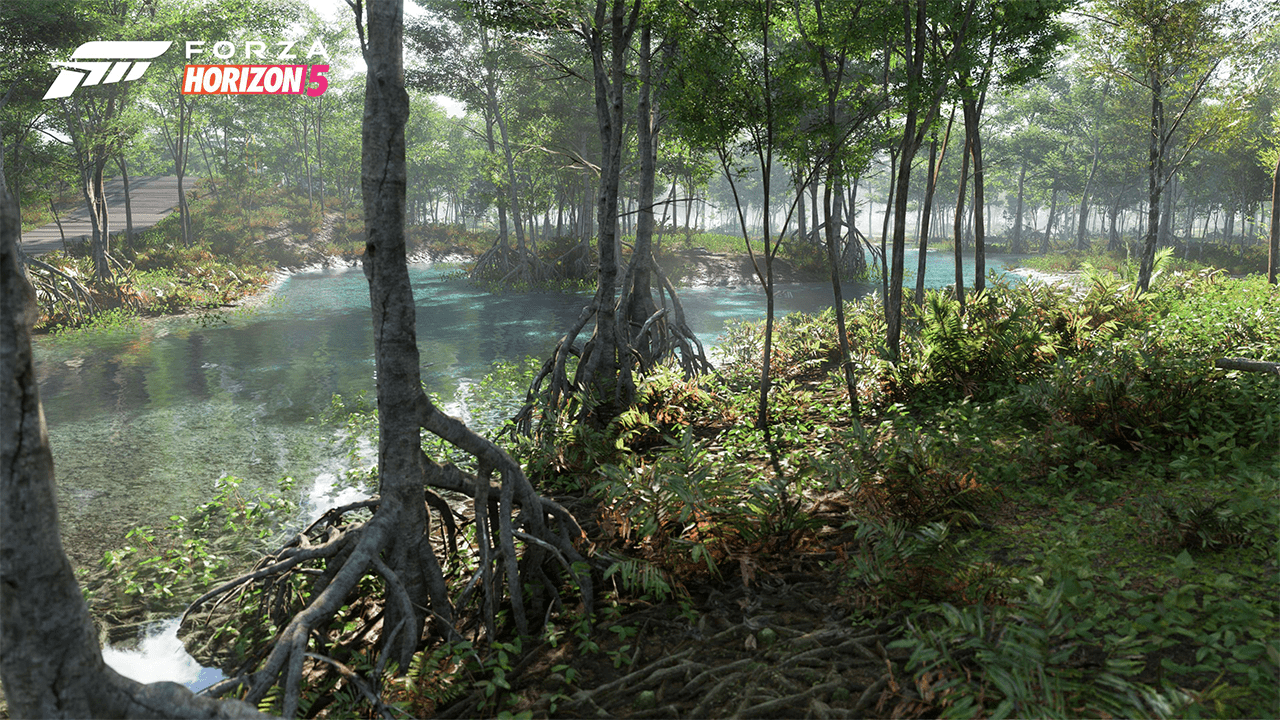 Forza Horizon 5 swamp