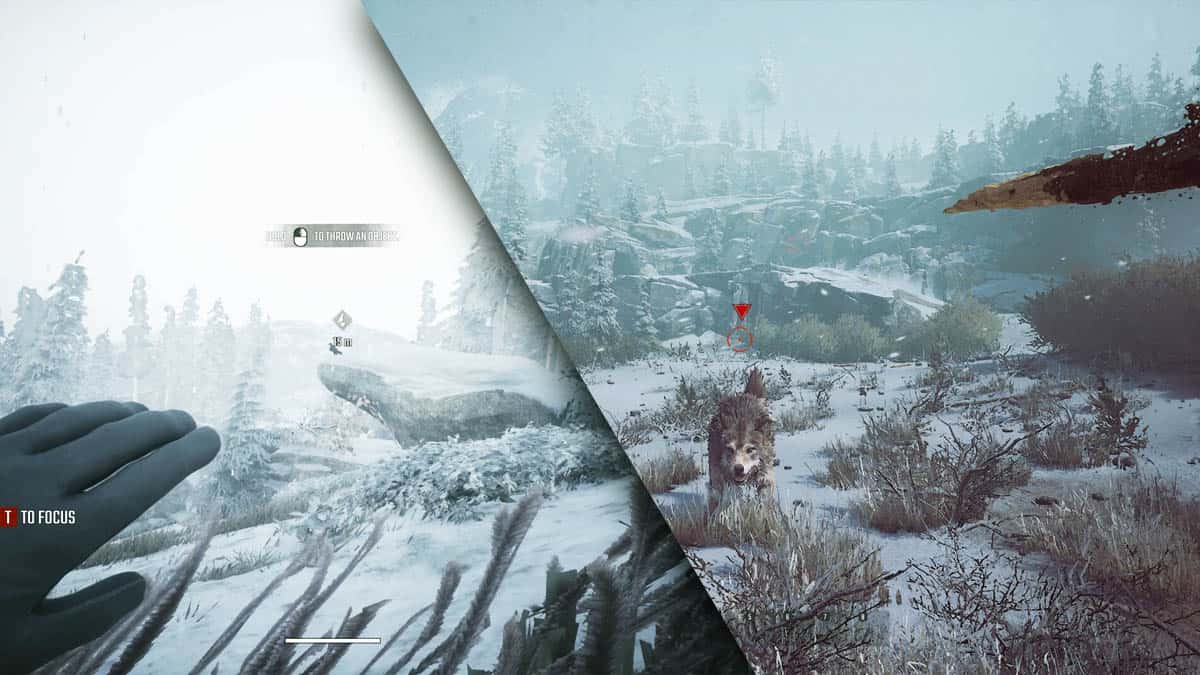 winter survival inceleme